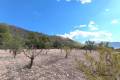 Sale - Land - Yecla - Yecla Centro