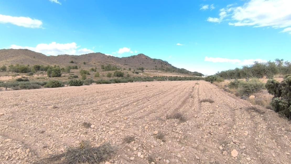 Sale - Land - Yecla - Yecla Centro