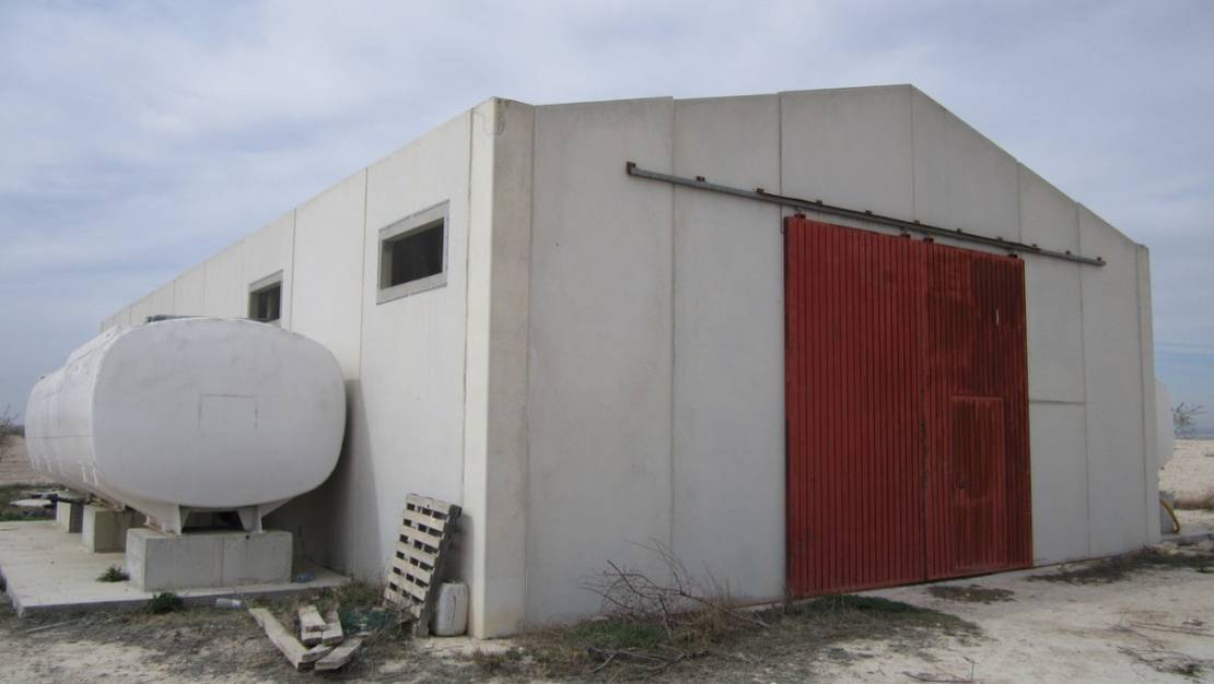 Sale - Land - Yecla - Yecla Centro