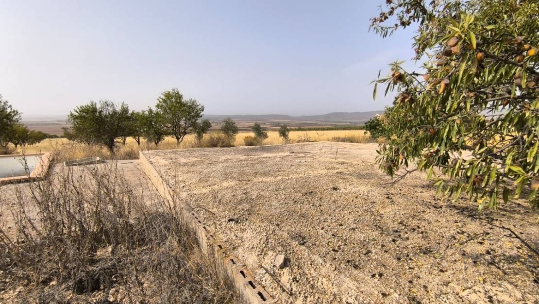 Sale - Land - Yecla - Yecla Centro