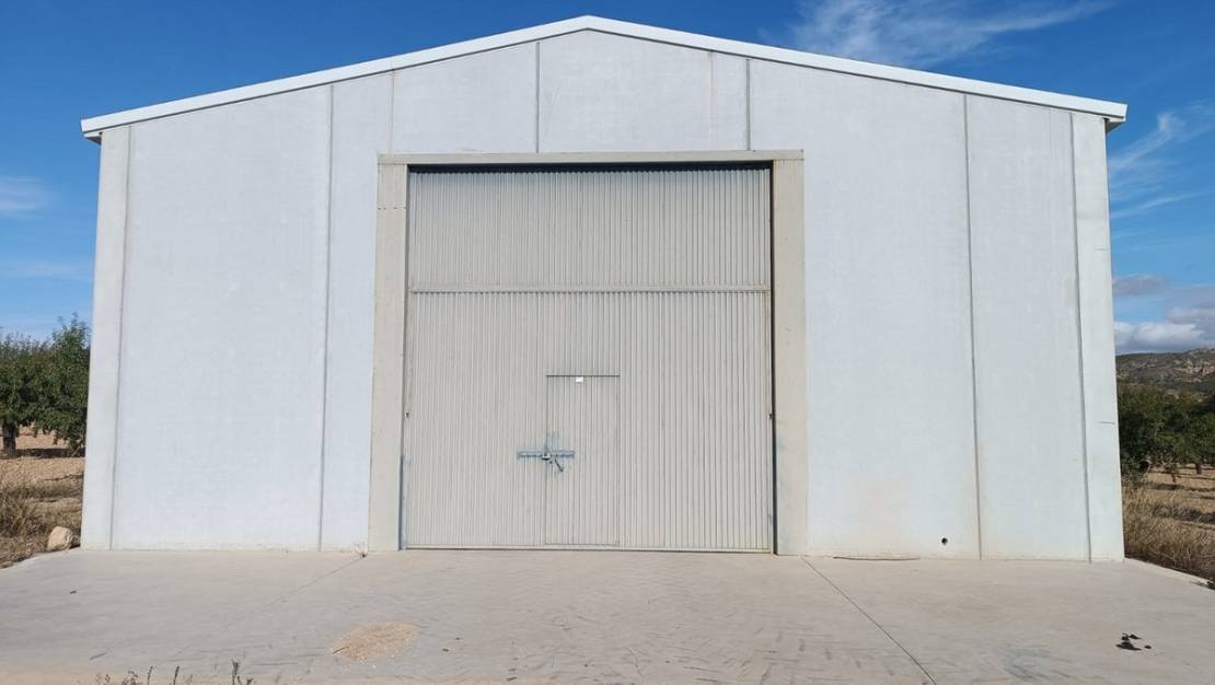 Sale - Land - Yecla - Yecla Centro