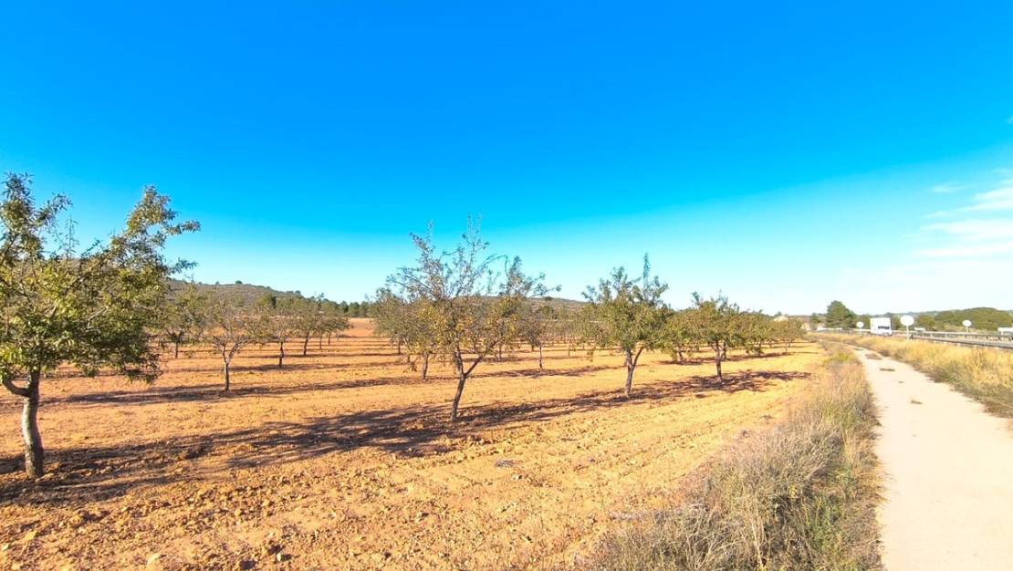 Sale - Land - Yecla - Yecla Centro