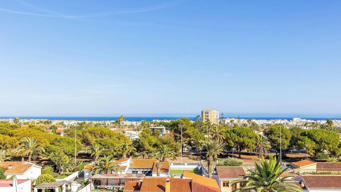 Sale - Penthouse - Torrevieja - Estacion de autobuses