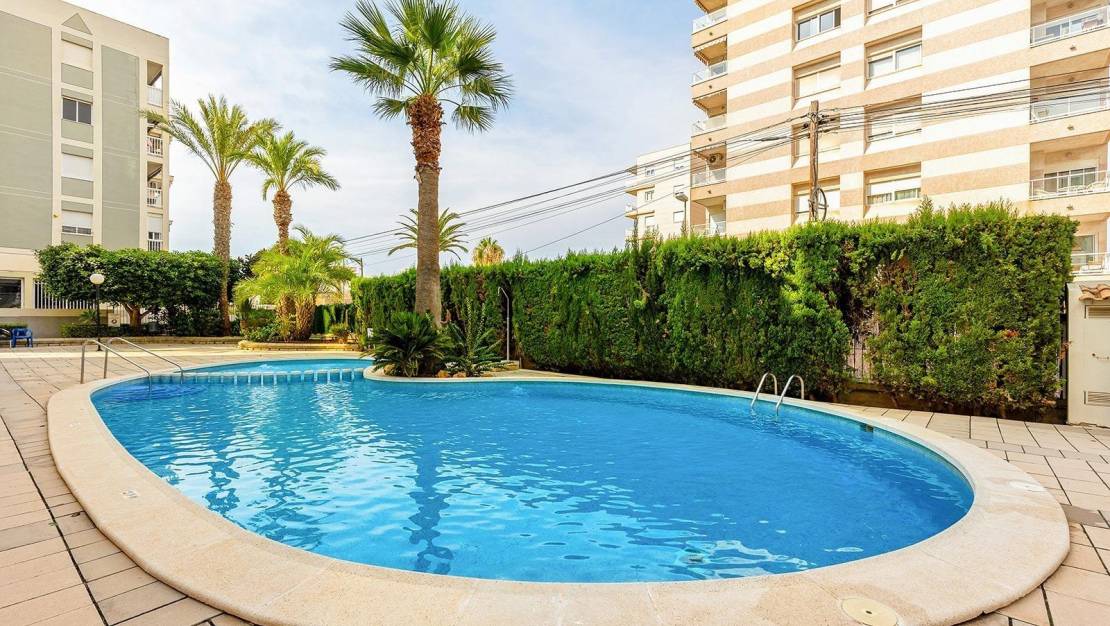 Sale - Penthouse - Torrevieja - Estacion de autobuses