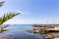 Sale - Penthouse - Torrevieja - Habaneras