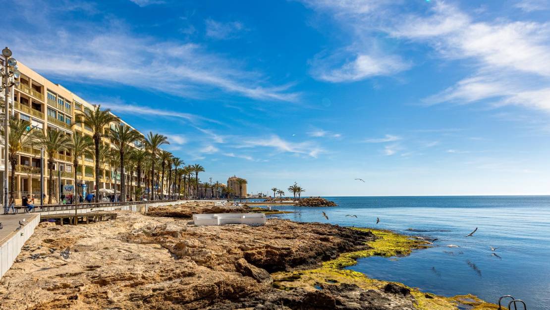 Sale - Penthouse - Torrevieja - Habaneras