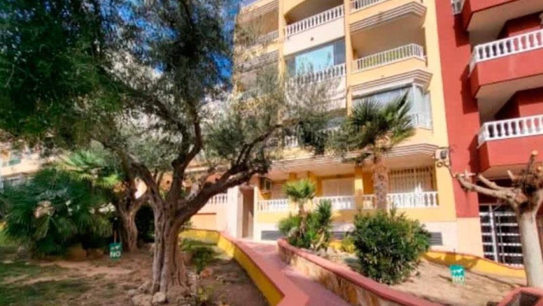 Sale - Penthouse - Torrevieja - Playa de los Locos