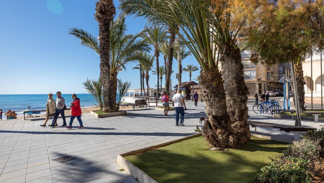 Sale - Terraced house - Torrevieja - Estacion de autobuses