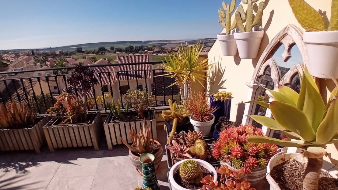 Sale - Town House - Algorfa - La finca golf