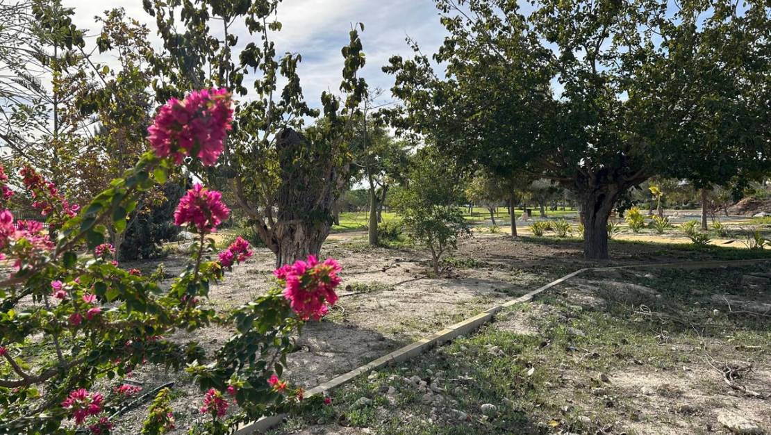 Sale - Town House - Dolores - Dolores Centro