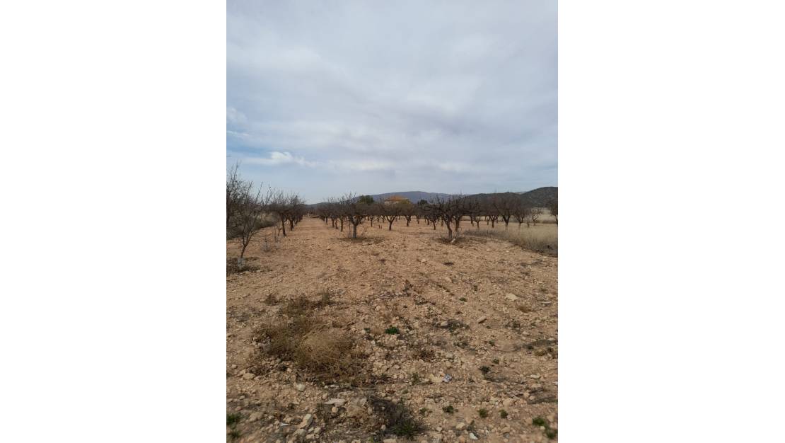 Sale - Town House - Monóvar - Monòver - Casas del Señor