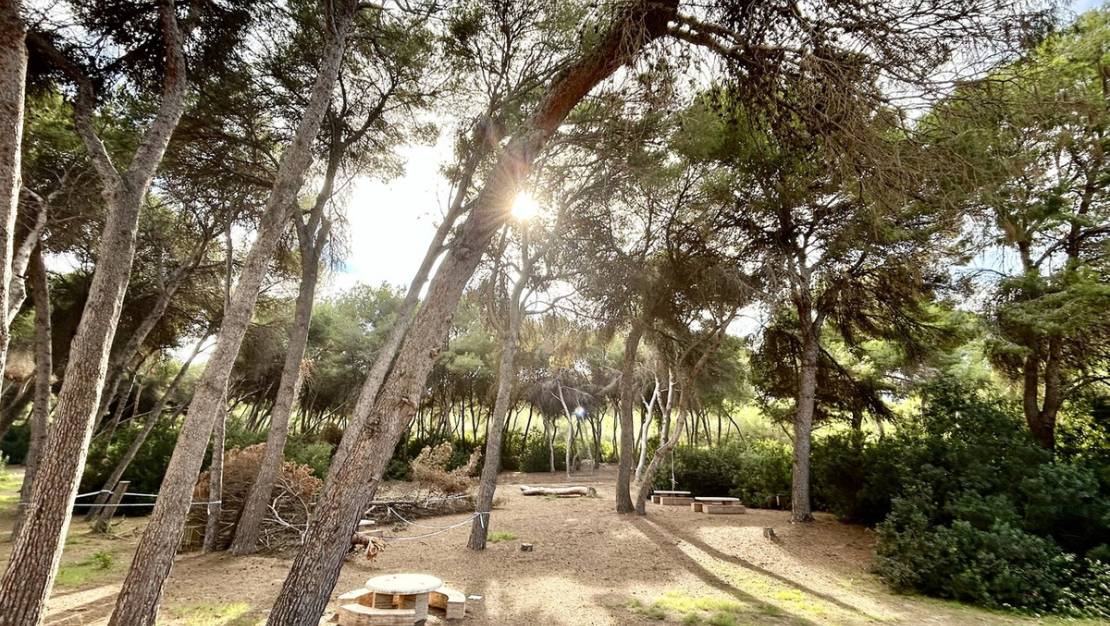 Sale - Town House - Orihuela - Dehesa de Campoamor