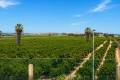 Sale - Town House - Orihuela - Los Balcones