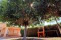 Sale - Town House - Orihuela - Mil Palmeras