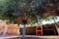 Sale - Town House - Orihuela - Mil Palmeras