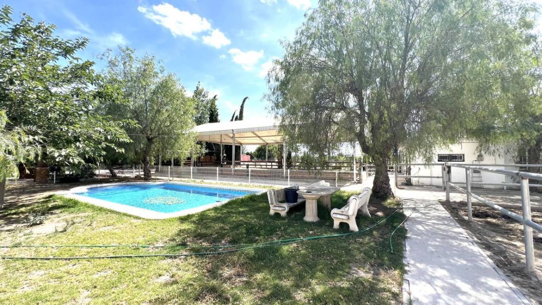 Sale - Town House - Orihuela - Orihuela Centro