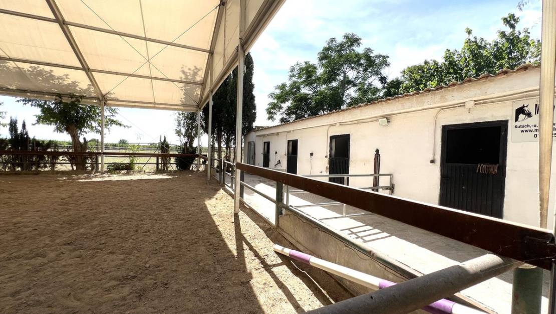 Sale - Town House - Orihuela - Orihuela Centro