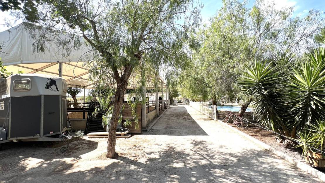 Sale - Town House - Orihuela - Orihuela Centro