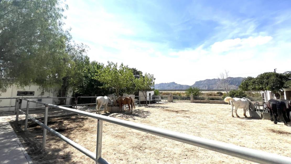 Sale - Town House - Orihuela - Orihuela Centro