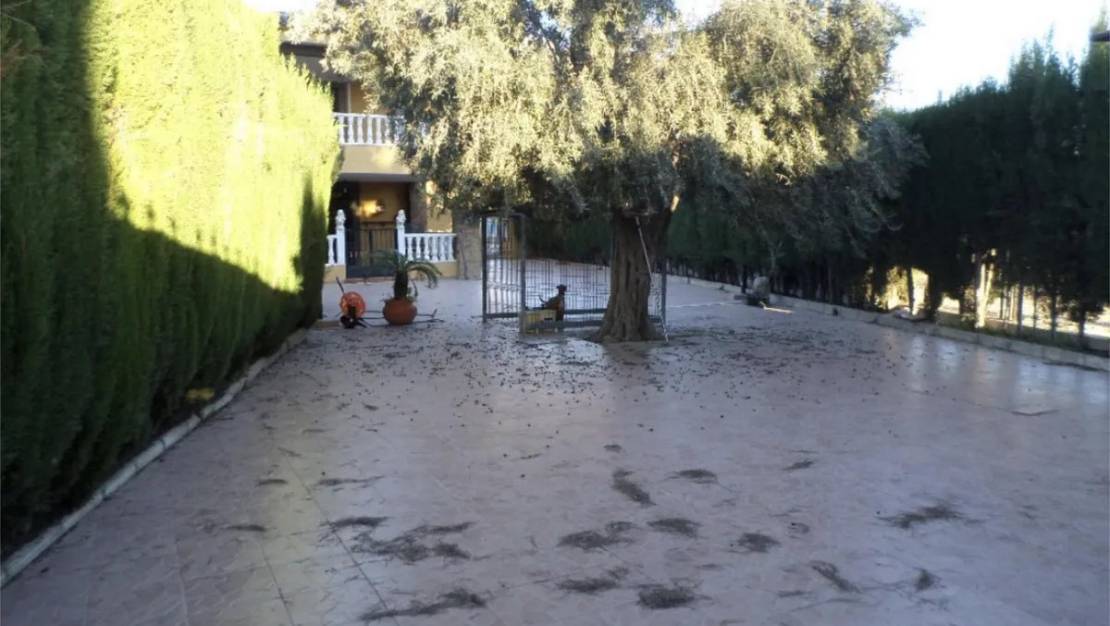 Sale - Town House - Orihuela - Orihuela Centro