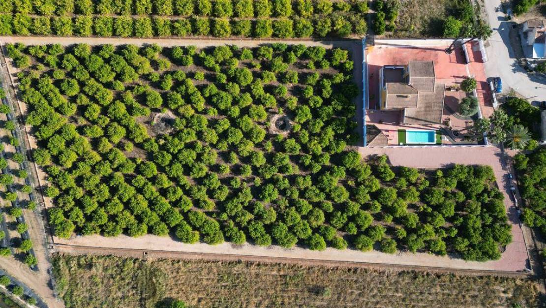 Sale - Town House - Orihuela - Orihuela Centro