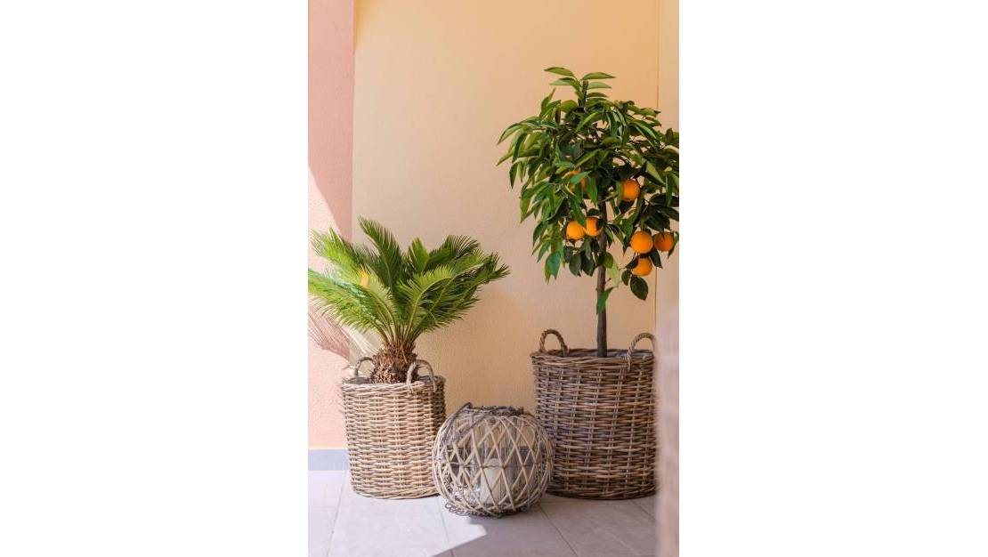 Sale - Town House - Orihuela - Orihuela Costa