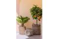 Sale - Town House - Orihuela - Orihuela Costa
