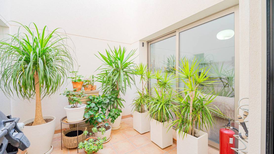 Sale - Town House - Orihuela - Punta Prima