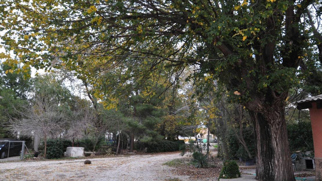 Sale - Town House - Pinoso - Pinoso Centro