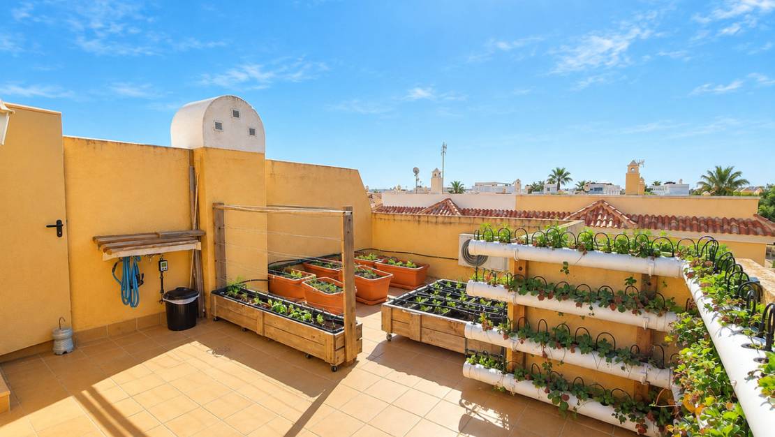 Sale - Town House - Rojales - Ciudad Quesada