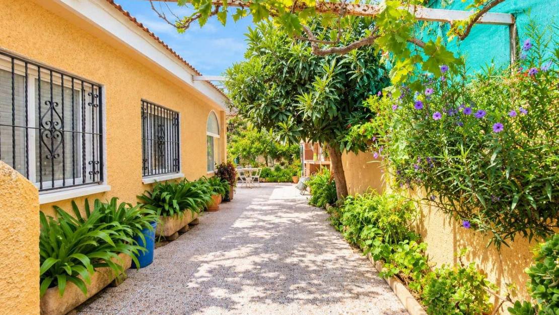 Sale - Town House - San Miguel de Salinas - San Miguel de Salinas Centro