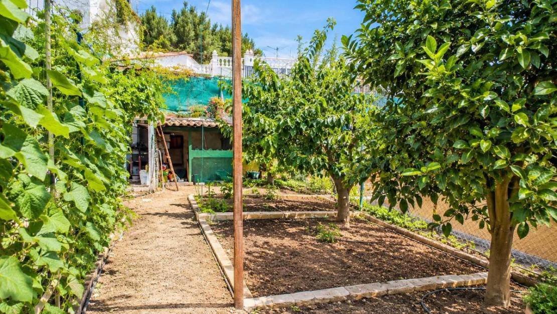 Sale - Town House - San Miguel de Salinas - San Miguel de Salinas Centro