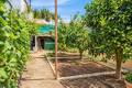 Sale - Town House - San Miguel de Salinas - San Miguel de Salinas Centro