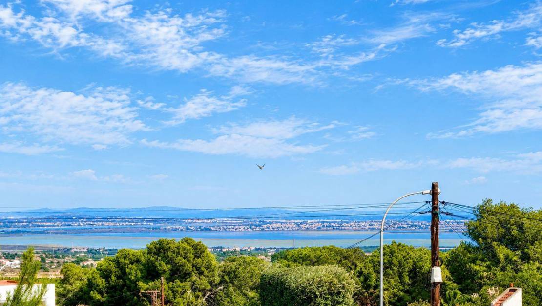 Sale - Town House - San Miguel de Salinas - San Miguel de Salinas Centro