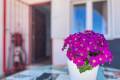 Sale - Town House - Torrevieja - Cabo cervera
