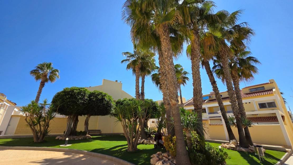 Sale - Town House - Torrevieja - La Mata