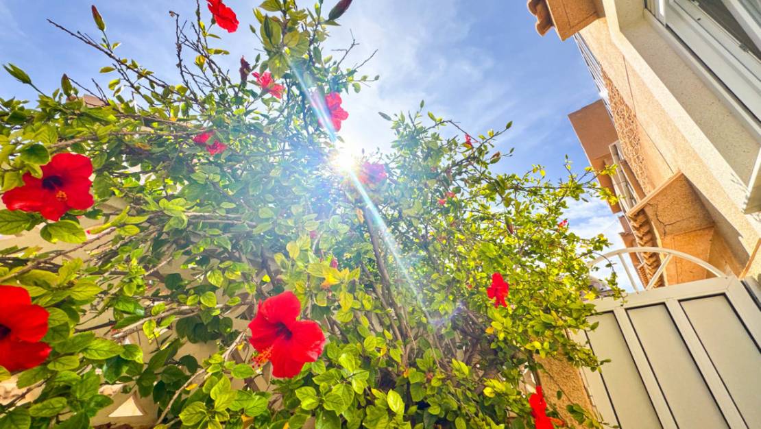 Sale - Town House - Torrevieja - Playa De La Mata