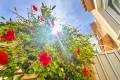 Sale - Town House - Torrevieja - Playa De La Mata