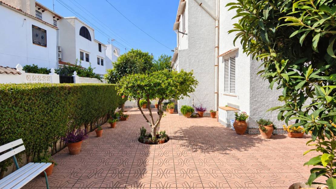 Sale - Town House - Torrevieja - Playa de los Locos