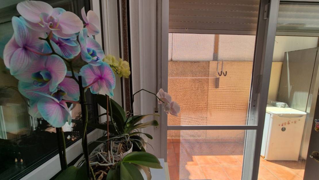 Sale - Town House - Torrevieja - Torrevieja Centro