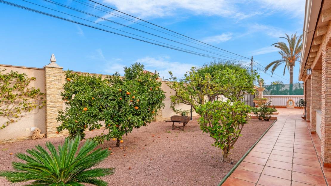 Sale - Town House - Torrevieja - Torrevieja Centro