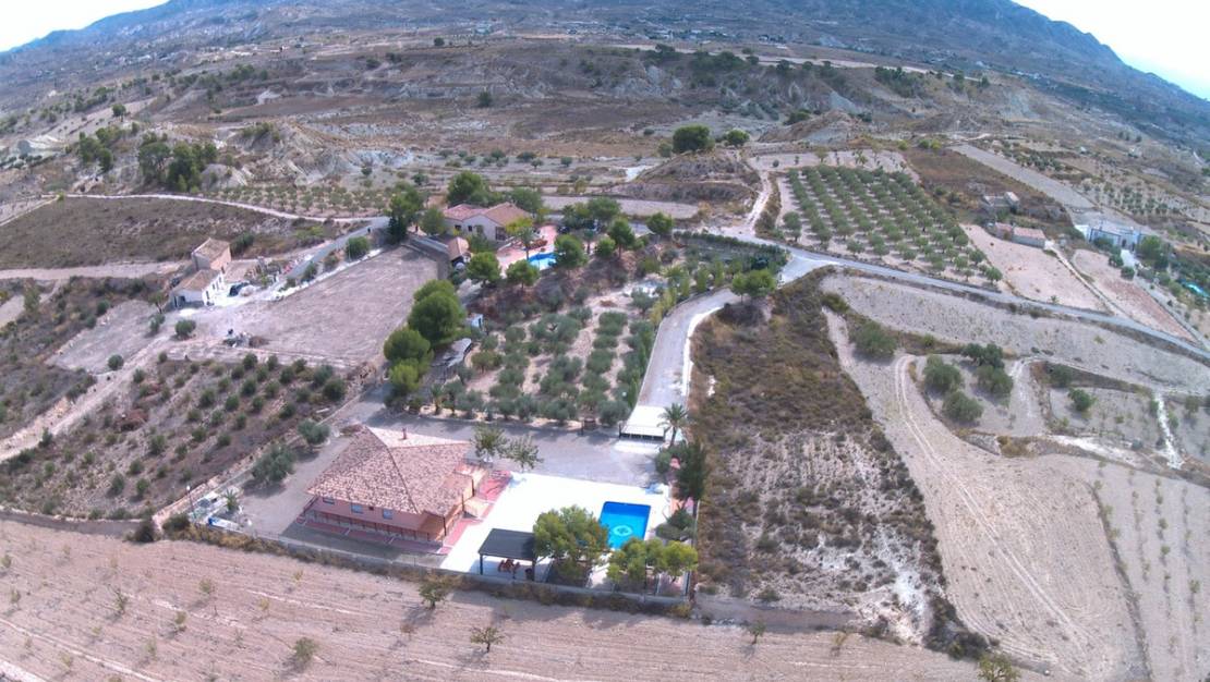 Sale - Villa - Abanilla - Abanilla Centro