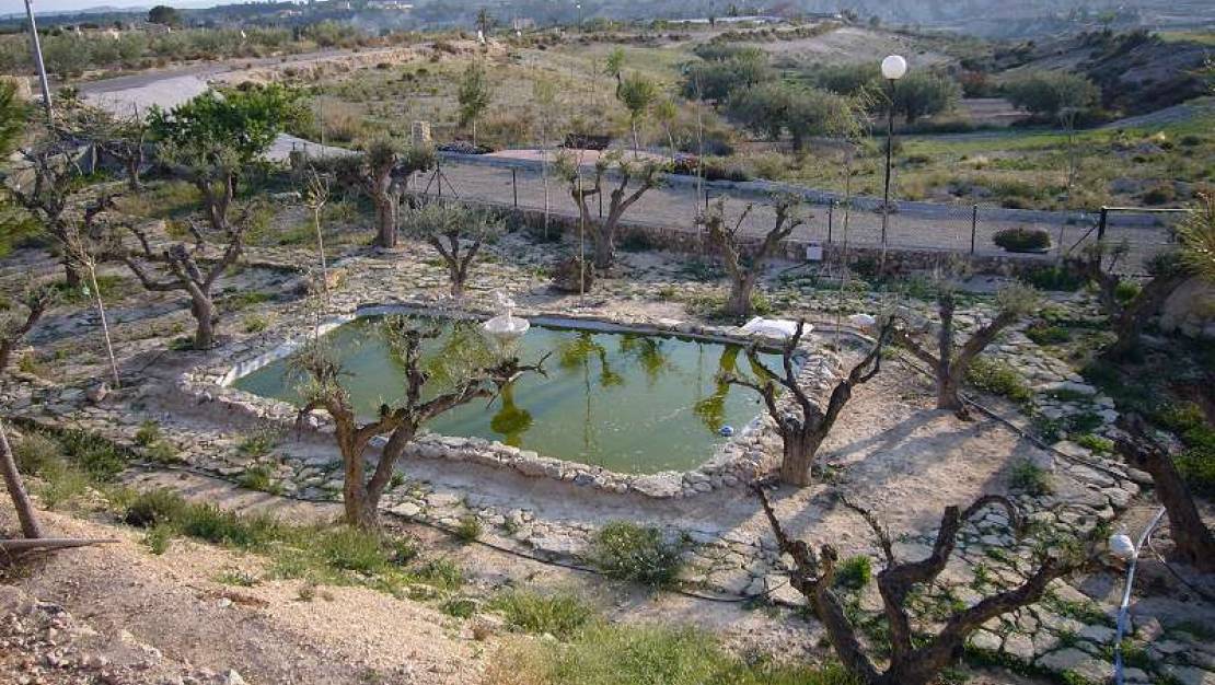 Sale - Villa - Abanilla - Abanilla Centro