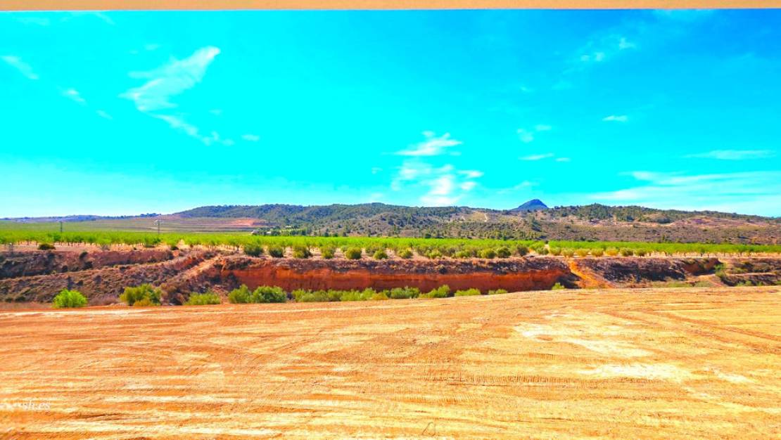 Sale - Villa - Abanilla - Macisvenda