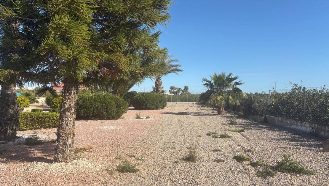 Sale - Villa - Albatera - Albatera Centro