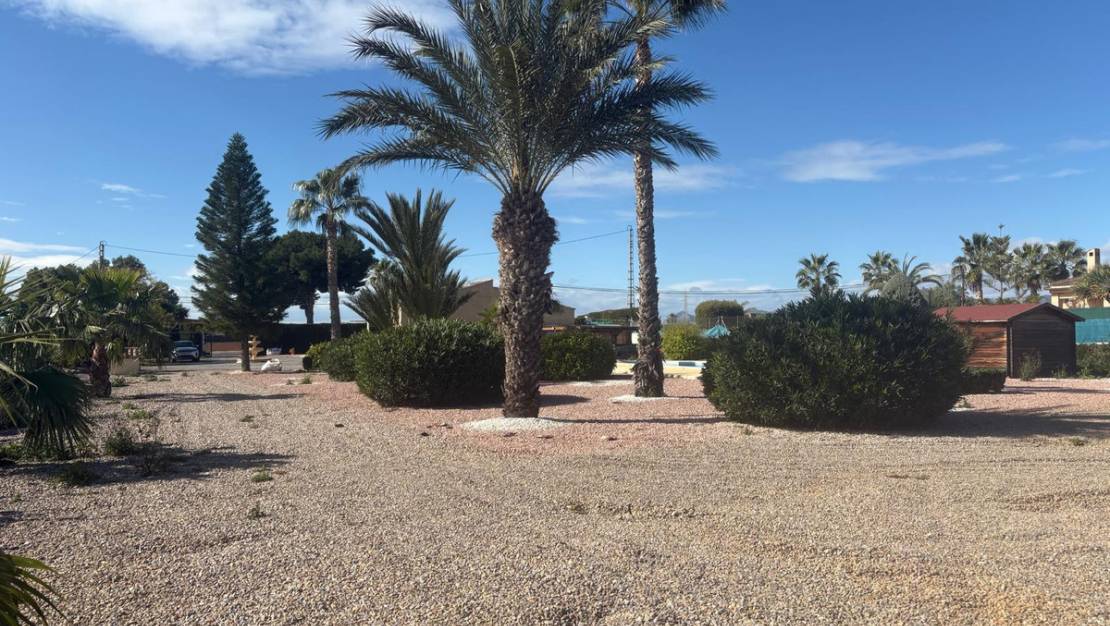 Sale - Villa - Albatera - Albatera Centro