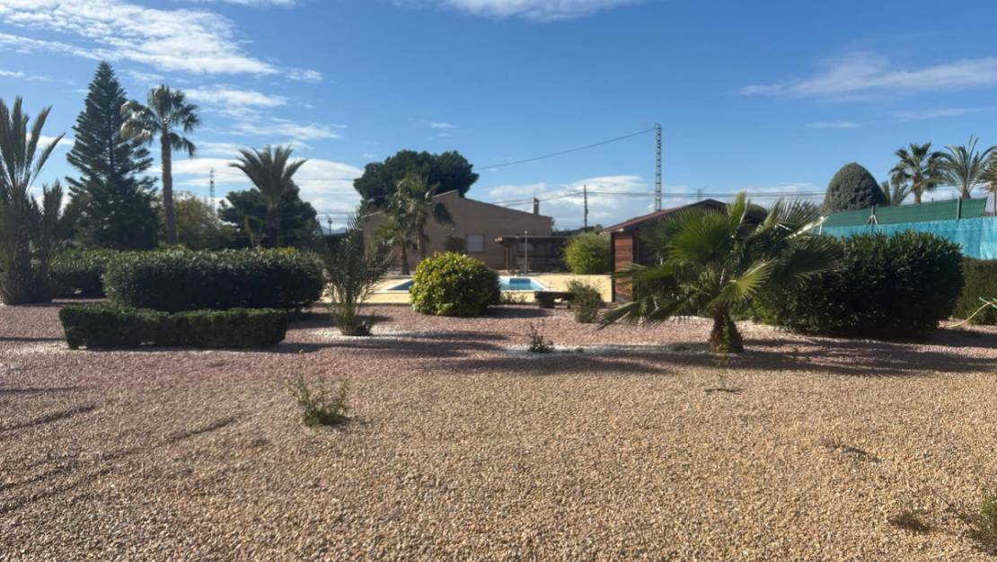 Sale - Villa - Albatera - Albatera Centro