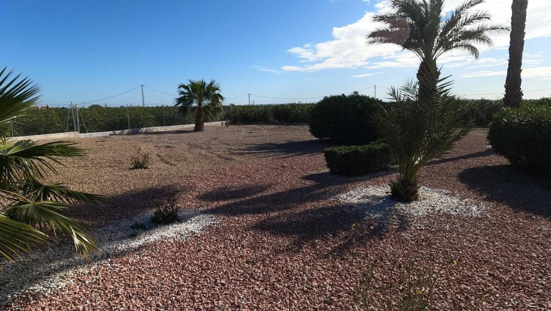 Sale - Villa - Albatera - Albatera Centro