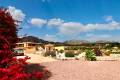 Sale - Villa - Albatera - Albatera Centro