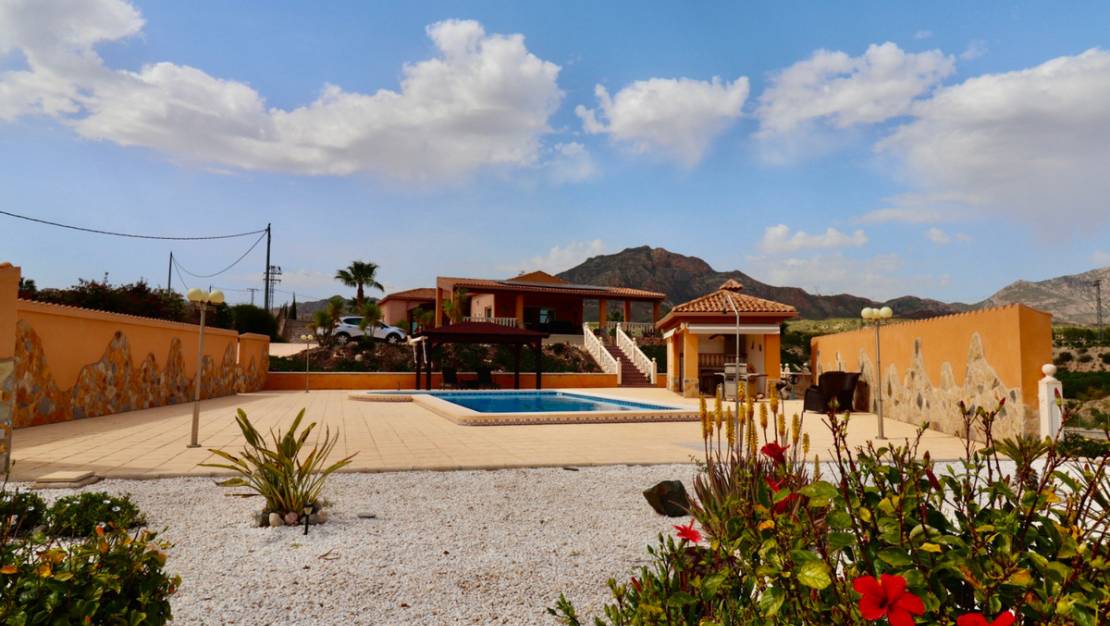 Sale - Villa - Albatera - Albatera Centro
